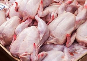 قطعه بندی مرغ در فروشگاه‌ها مجاز می‌شود